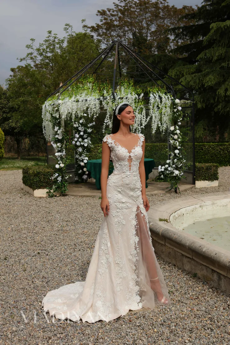 Vladiyan 2452 #1 frontface vertical picture