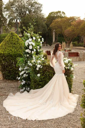 Vladiyan 2461 #1 default backface vertical thumbnail