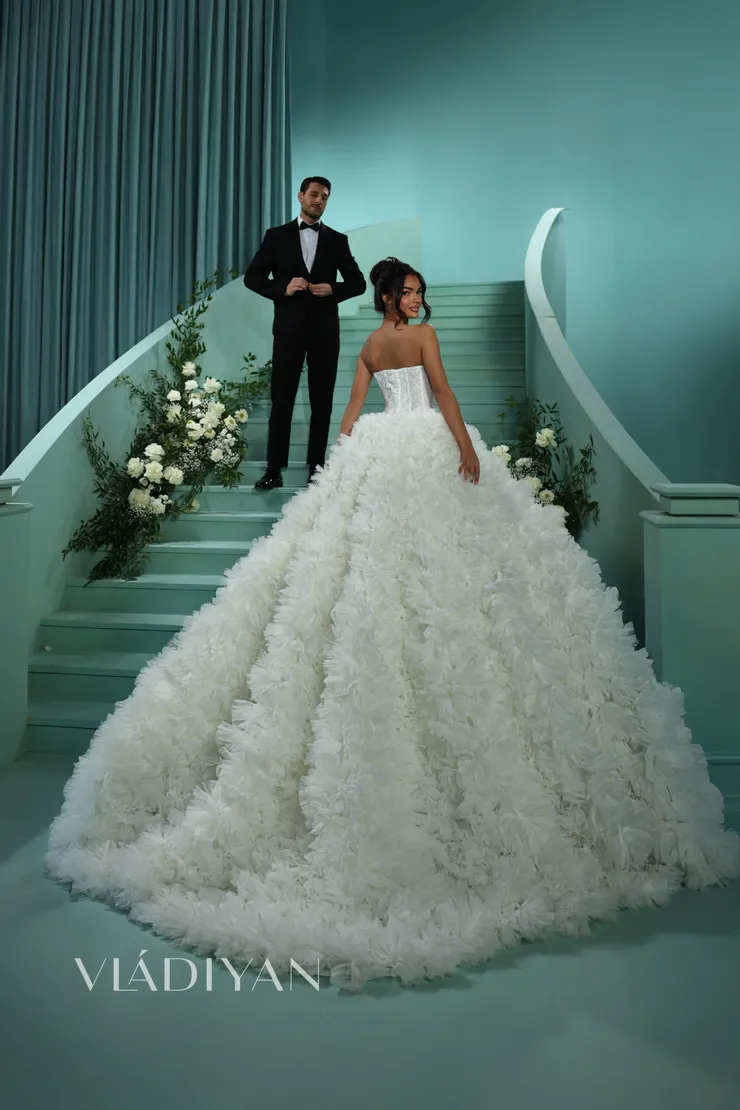 Vladiyan 2620 #1 vertical picture